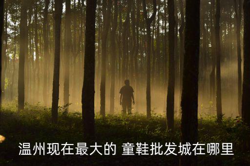 温州童鞋厂家直销,温州大型鞋城批发各品牌童鞋时尚帆布鞋直供