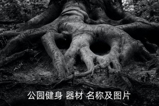 公园健身 器材 名称及图片