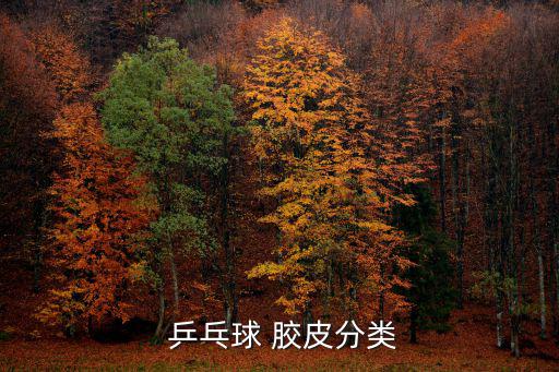 乒乓球胶皮种类及价格,乒乓球胶皮有哪些类型?