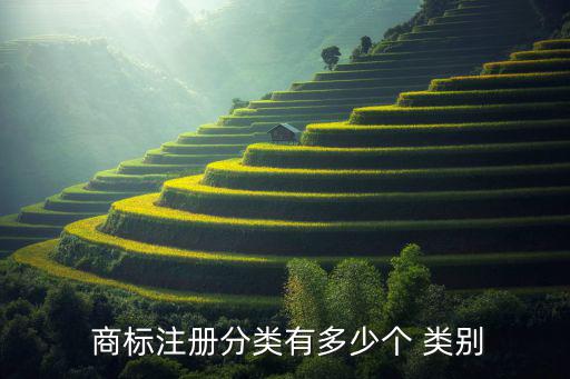  商标注册分类有多少个 类别