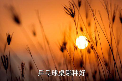  乒乓球桌哪种好