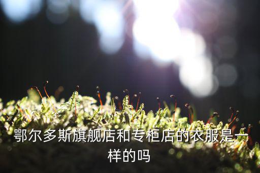  鄂尔多斯旗舰店和专柜店的衣服是一样的吗