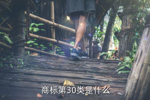  商标第30类是什么