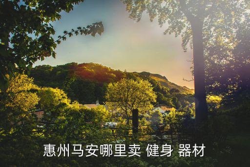 惠州马安哪里卖 健身 器材