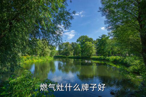 燃气灶什么牌子好