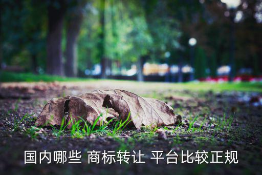 买商标最好的平台,这里我推荐一个平台比较靠谱!