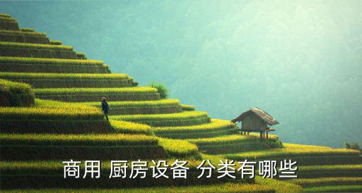 厨房用品分类哪些种类,厨房电器与器皿用品类别:厨房用品