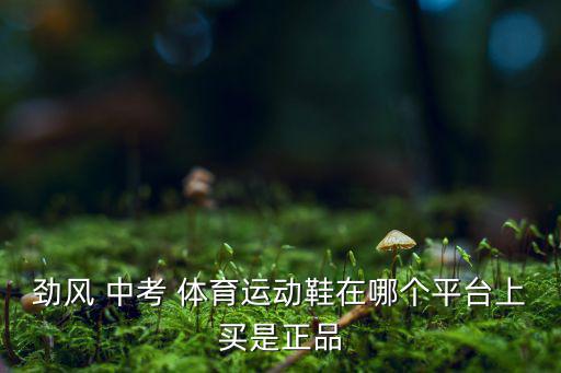 劲风 中考 体育运动鞋在哪个平台上买是正品
