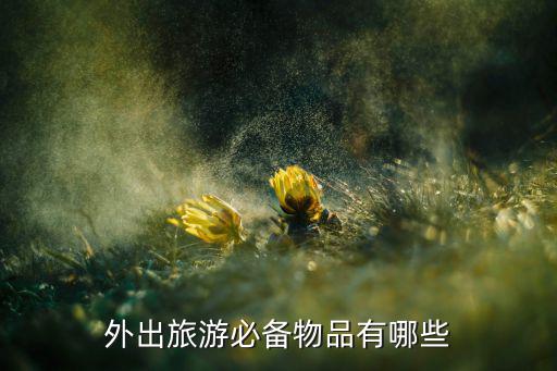 外出旅游必备物品有哪些