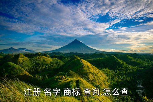 注册 名字 商标 查询,怎么查