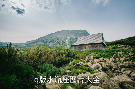 q版水瓶座图片大全