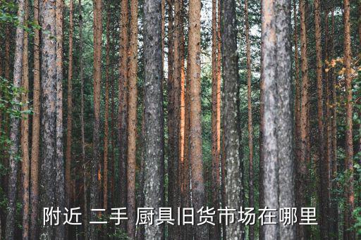 附近 二手 厨具旧货市场在哪里