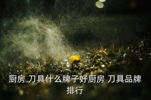刀具品牌排行榜前十名,十大厨房刀具品牌介绍之一