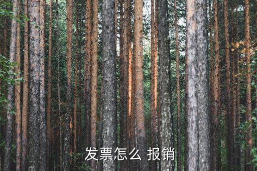  发票怎么 报销