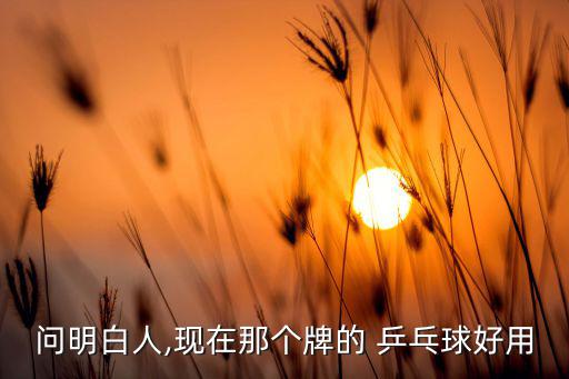 问明白人,现在那个牌的 乒乓球好用