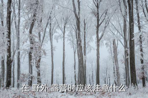 在 野外 露营时应该注意什么