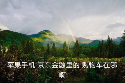 苹果手机 京东金融里的 购物车在哪啊