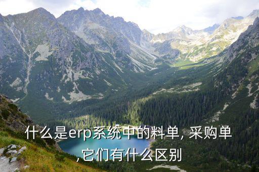 什么是erp系统中的料单, 采购单,它们有什么区别