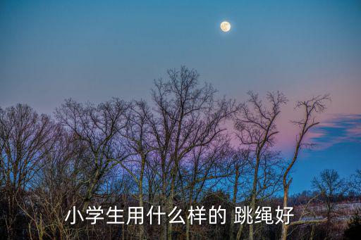 小学生用什么样的 跳绳好