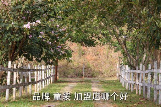 品牌 童装 加盟店哪个好