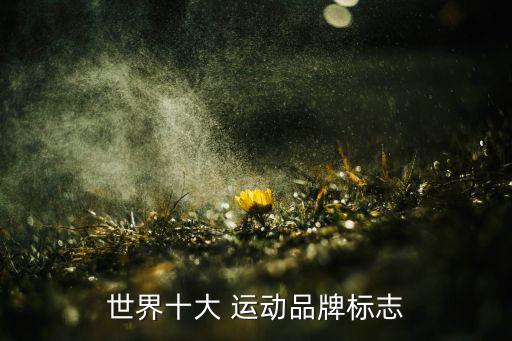 世界十大 运动品牌标志