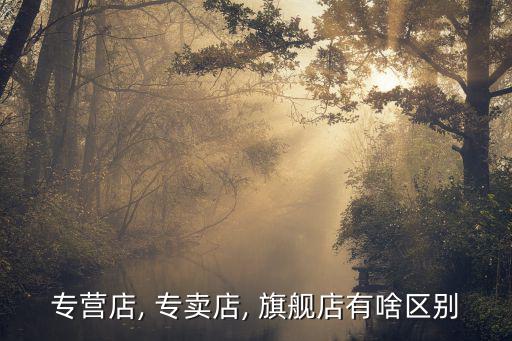 旗舰店好还是专卖店好,旗舰店负责品牌我觉得比专卖店更重要