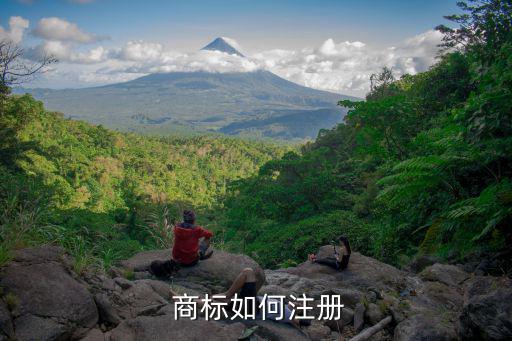 商标取名软件,下个商标注册流程!