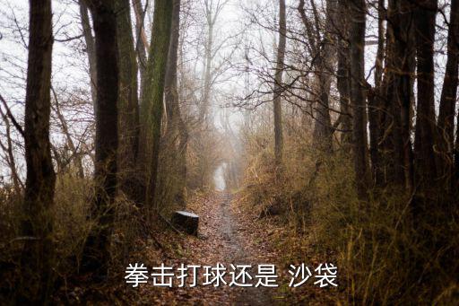  拳击打球还是 沙袋