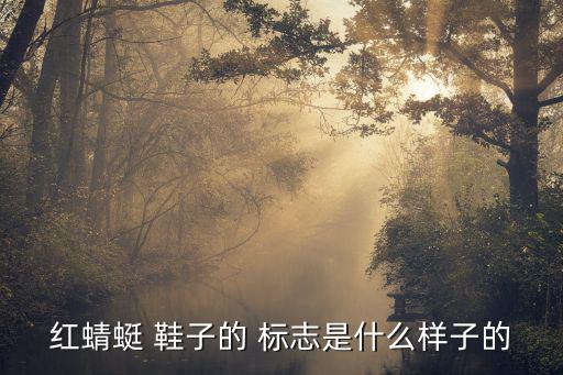 鞋子logo标志大全读法图解,红色蜻蜓鞋子标志不是ff