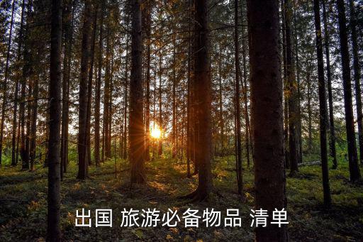 旅游用品清单表格,旅游必备物品清单