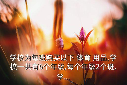 学校为每班购买以下 体育 用品,学校一共有6个年级,每个年级2个班,学...