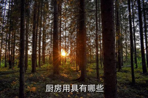  厨房用具有哪些