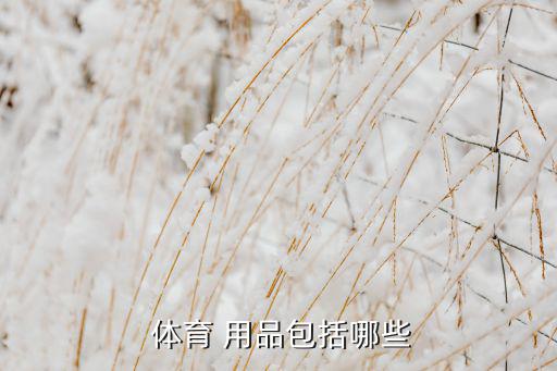  体育 用品包括哪些