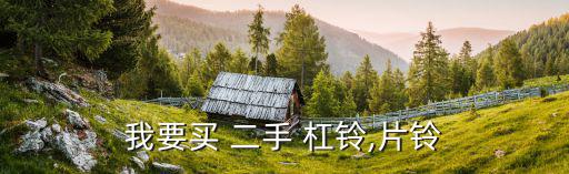 我要买 二手 杠铃,片铃