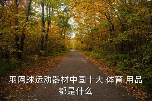 羽网球运动器材中国十大 体育 用品都是什么