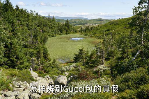 怎样辨别Gucci包的真假