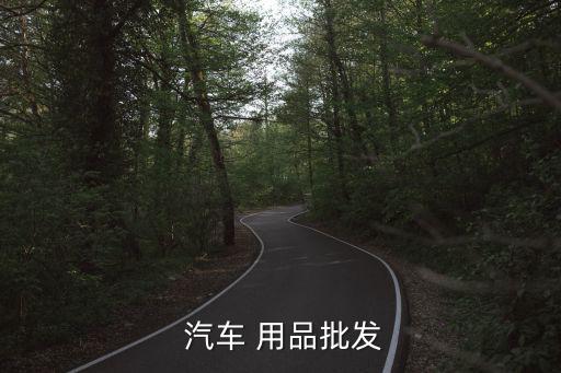  汽车 用品批发