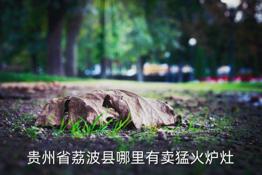 贵州省荔波县哪里有卖猛火炉灶