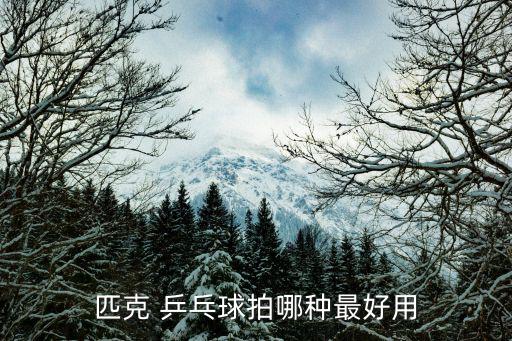 匹克 乒乓球拍哪种最好用