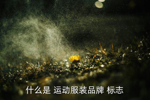 运动品牌服饰标志,运动服装品牌标志影响品牌知名度和品牌偏好