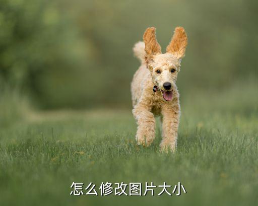 折叠桌子图片大全集 便携式图纸,如何修改turn图纸大小?