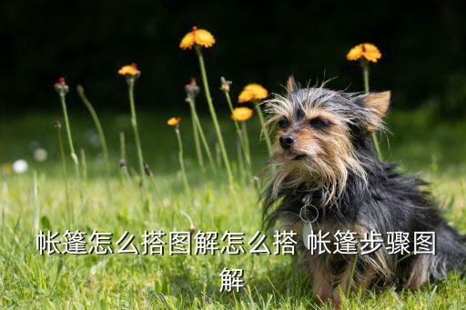  帐篷怎么搭图解怎么搭 帐篷步骤图解