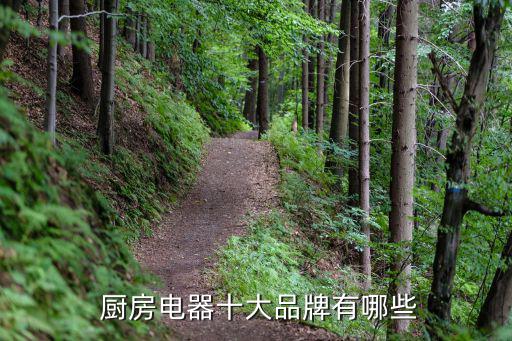  厨房电器十大品牌有哪些