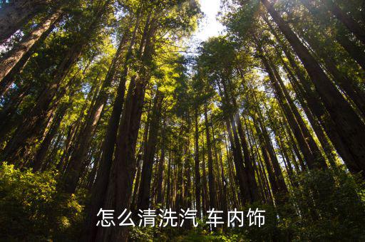 怎么清洗汽 车内饰