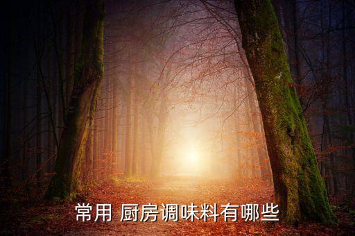 常用 厨房调味料有哪些