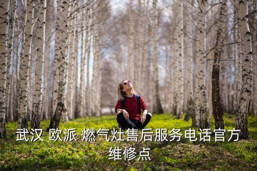 武汉 欧派 燃气灶售后服务电话官方 维修点