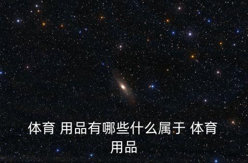 体育用品都有哪些东西名称,我国运动鞋品牌锐步夺冠