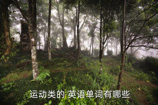 运动商店的英语,这些运动都是什么?
