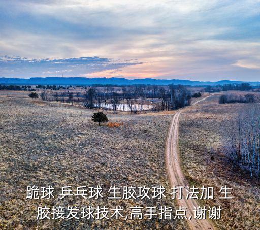 乒乓球反手生胶打法教学,正手反胶反手直胶球接近被淘汰