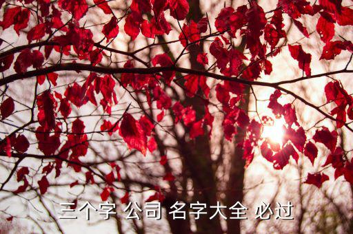 三个字 公司 名字大全 必过